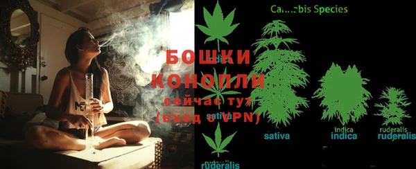сатива Алексеевка
