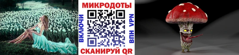 Псилоцибиновые грибы Psilocybe  Печоры 